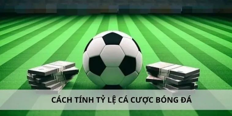 Tìm Hiểu Cá Cược Bóng Đá Crown88: Hướng Dẫn Chi Tiết Và Cơ Hội Thắng Lớn