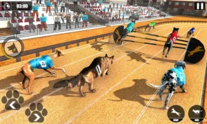 Hướng Dẫn Chi Tiết Cách Chơi Game Nhanh Đua Chó Tại Crown88 Hiệu Quả Nhất